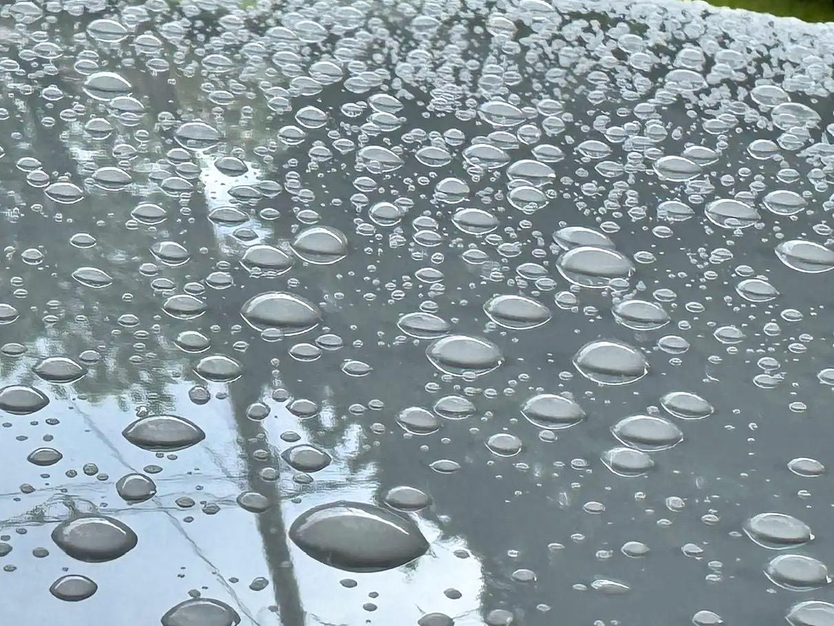 Tested In Florida Conditions